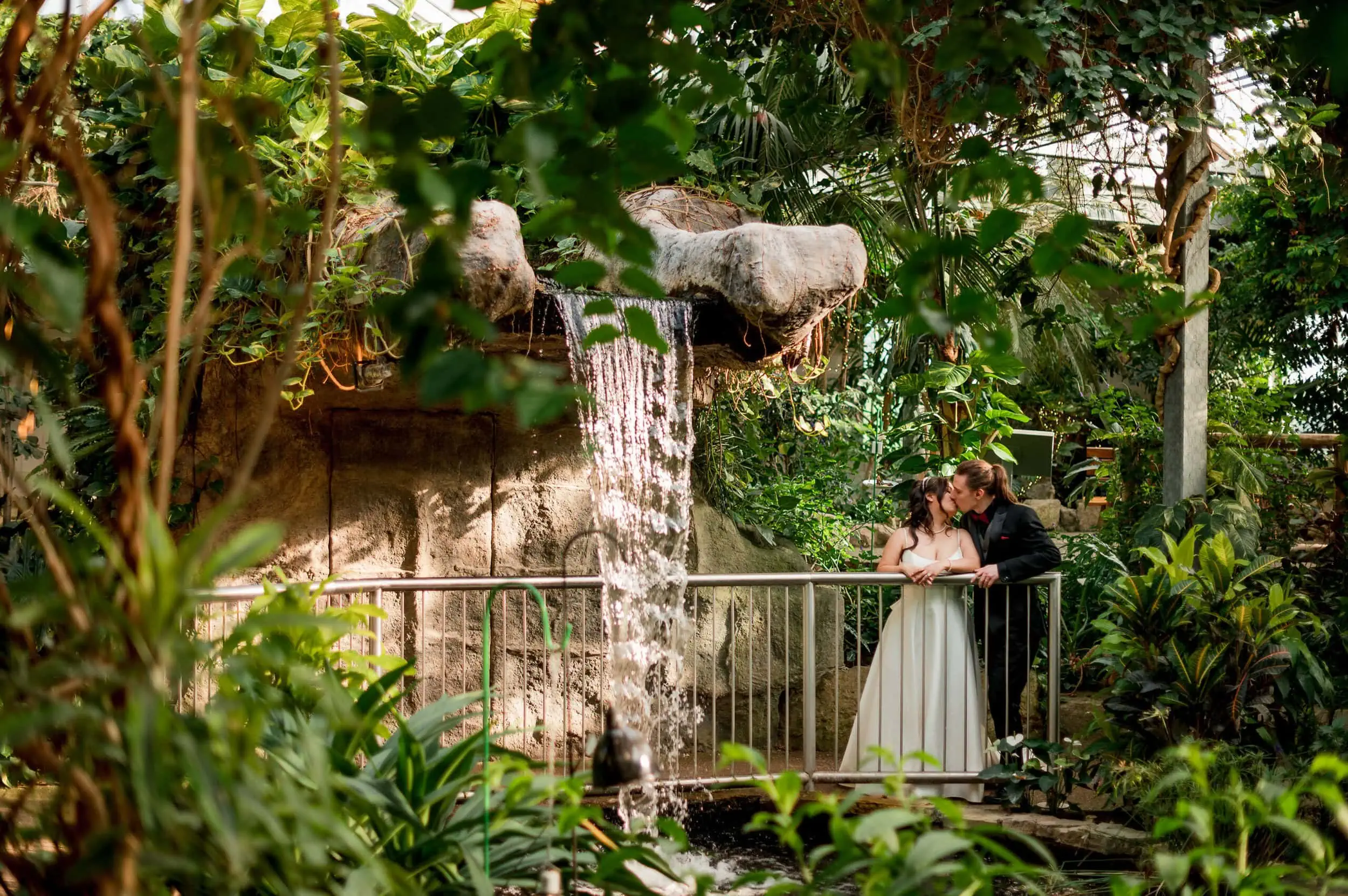 couple kisses under waterfall at Cambridge Butterfly Conservatory wedding